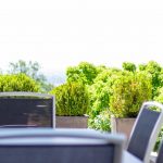 Wellness Real Estate Synesy