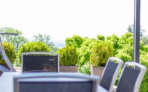 Wellness Real Estate Synesy